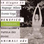 Evento Yoga Benefico